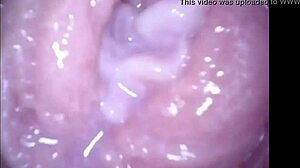 Young Asian Babe in Exclusive VIP Porn Action Scene.