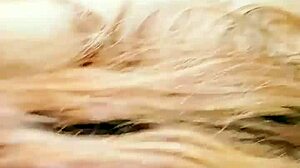 she says suck my dick for a ride?