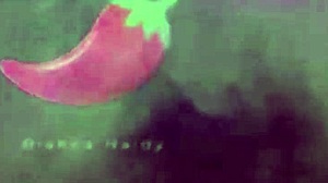 bianca swingueira meets singer for intense encounter