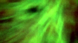 Icey Candi twerks on dick