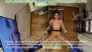 Become doctor tampa as rebel wyatts taken by her government