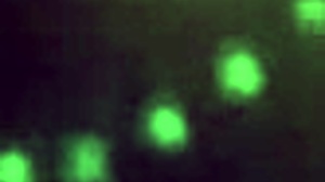 she sucks me in the dark secretly