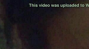 Honeysuckle Craves That Irresistible Sucking Sensation