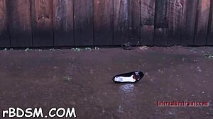 spicy brunette cutie plays with huge sex toy