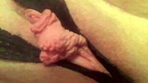 Greluda Stretches Grelo in Close-Up Masturbation