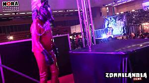 Hey, ever seen an Incubus fantasy with cute bound vibes? 😈