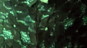 Check out this lingerie my aunt gave me! It's a bit worn but fun to wear.