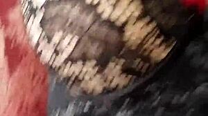 Check out this lingerie my aunt gave me! It's a bit worn but fun to wear.