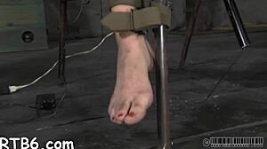 Leather Pet's Mask Comes Off