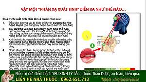 Secrets To Prolong Male Vitality