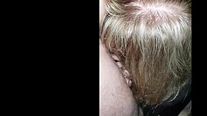 Public Park Walk with Pet on Leash and Fun October 17, 2023