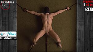 操機榨取前列腺，4次無手高潮