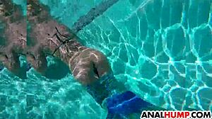 Adriana Chechik handles a BBC in rough doggystyle