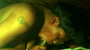 miss albany from new york chats casually 😊