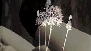 Vintage Hairy Group Fuck!