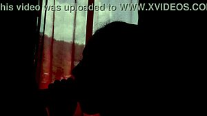 young couple in shadows giving blowjob to each other