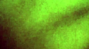 Papi pide video y kari cumple