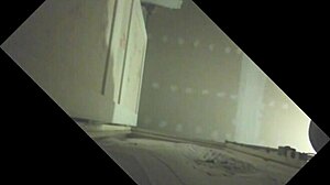 Stallion Gets Sucked Off In Glory Hole By Gay Guy