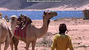 Hey, did you see that pretty girl getting wild on the sandy beach with a stranger?