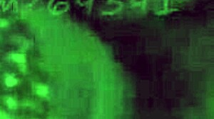 damn, this bootyful ebony model got fingered before the happy ending! 😍