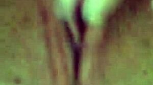 A little gift during the isolation period in brazil