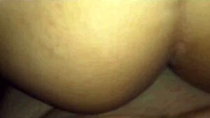 Kitten wants milk - internal release