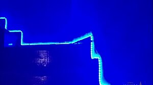 Hey, check out this blonde sucking cock for her lucky job