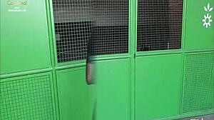 Hey, check out this blonde sucking cock for her lucky job