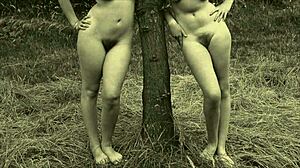 Винтажные лесбиянки любят природу в волосатой группе