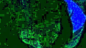 i love riding that monster cock in my wet big ass pussy