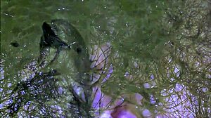 dark lantern entertainment bringer vintage naturpiger tilbage til livet med håret charme. retro vibes i fuld blomst!