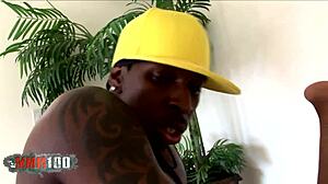 สาวเอ็บอนี่อ้วนโดนควยใหญ่ของ Jon Jon เจาะในแอคชั่นป่าเถื่อน ฉันติดกับรูปร่างเธอ!