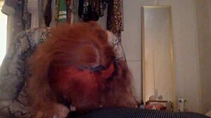 Hej, koukni na tuhle transku, jak šílí po obrovském černém péru!