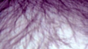 Group swingers event with wife and blowjob