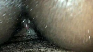 reverse cowgirl riding position