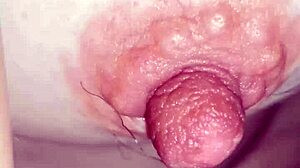 hornylustannie, are you shy or hiding those nipples downblouse?