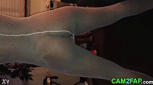 Ass free amateur flashing porn video
