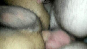 I am so excited about this big guy, but I keep messing up the words.