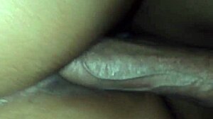 Lanet olsun, sikini sıkı götünde hissetmeyi seviyor!