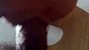 Asian beauty tempts with amateur sucking skills