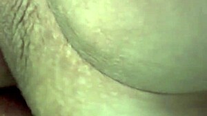 Brunetka kapá mokrou kundou na dildo orgasmus