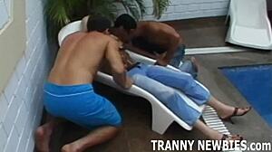 gledao sam ih kako me pozivaju u divlju šemelska trojku