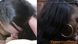 Ciara Rose жёстко трахнута белым жеребцом