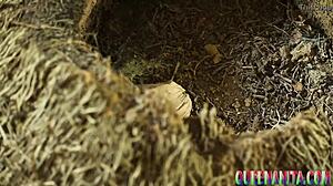 Mijn God, Chief sleept vrouw naar bos voor wilde neuk!