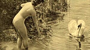 Hey, check Dark Lantern Entertainment's wild vintage dragonfly tale with hairy retro vibes!