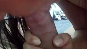 Russian Ass in Cultural Exploration