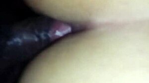 Brazilian milf gives pussy and ass to black guy