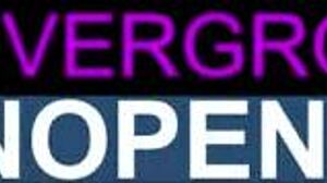 金发和棕发妓女渴望现金换性！