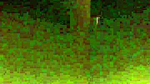 My Sister-In-Law And I Fucking Like Amateur Prostitutes!