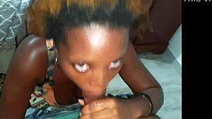 Busty brunette ebony giver saftig blowjob med dirty talk.